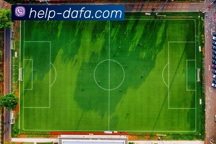 大发彩票服务体系